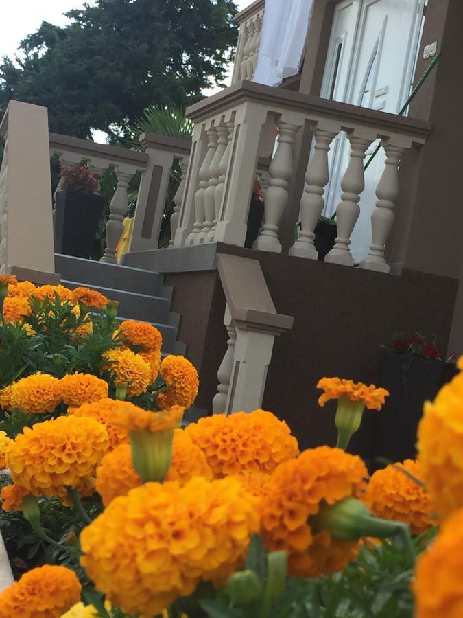 Apartment Meri Bibinje Dış mekan fotoğraf