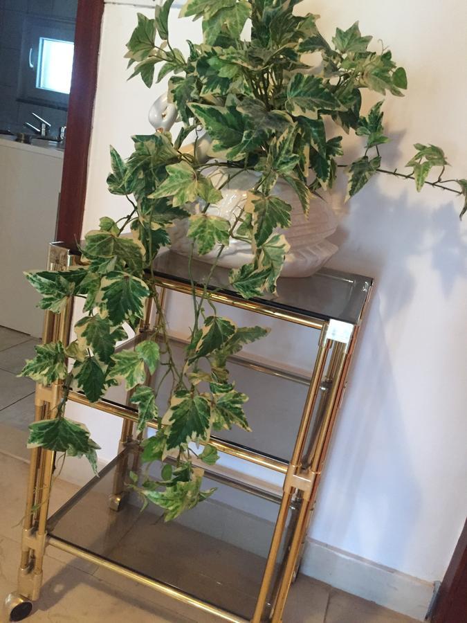 Apartment Meri Bibinje Dış mekan fotoğraf