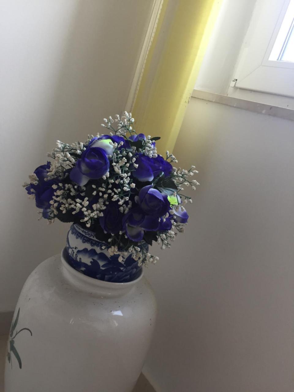 Apartment Meri Bibinje Dış mekan fotoğraf